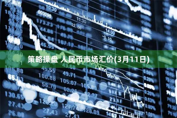 策略操盘 人民币市场汇价(3月11日)