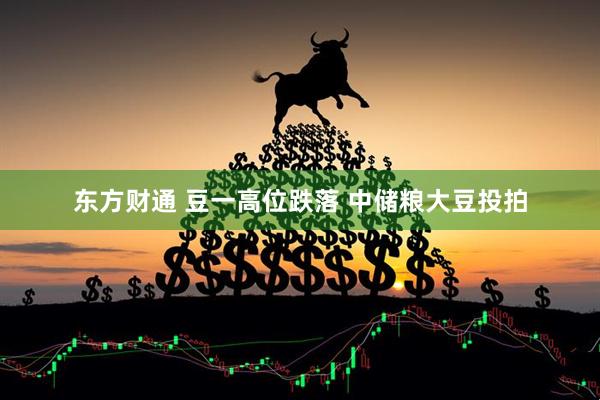 东方财通 豆一高位跌落 中储粮大豆投拍