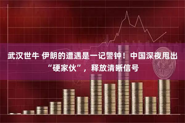 武汉世牛 伊朗的遭遇是一记警钟！中国深夜甩出“硬家伙”，释放清晰信号