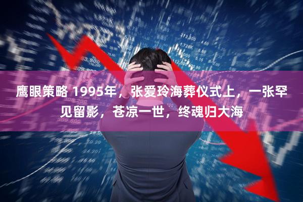 鹰眼策略 1995年，张爱玲海葬仪式上，一张罕见留影，苍凉一世，终魂归大海