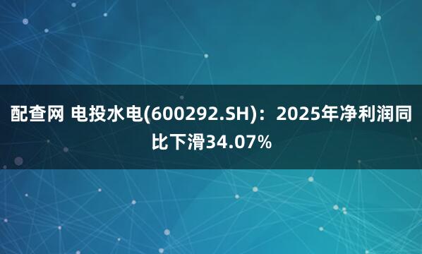 配查网 电投水电(600292.SH)：2025年净利润同比下滑34.07%