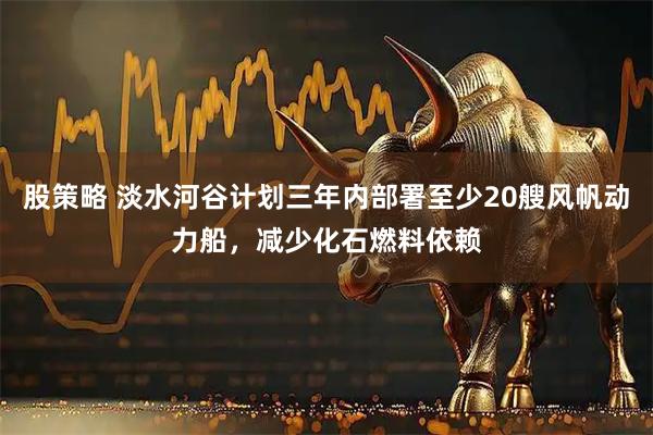 股策略 淡水河谷计划三年内部署至少20艘风帆动力船，减少化石燃料依赖