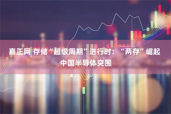 嘉正网 存储“超级周期”进行时：“两存”崛起 中国半导体突围