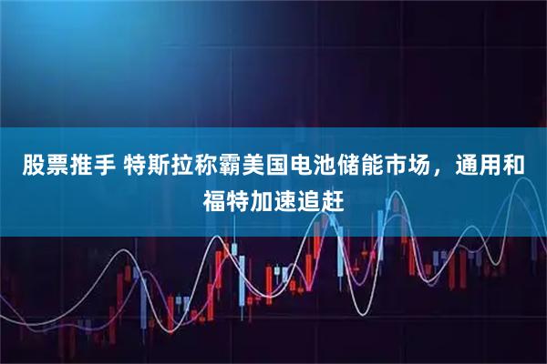 股票推手 特斯拉称霸美国电池储能市场，通用和福特加速追赶
